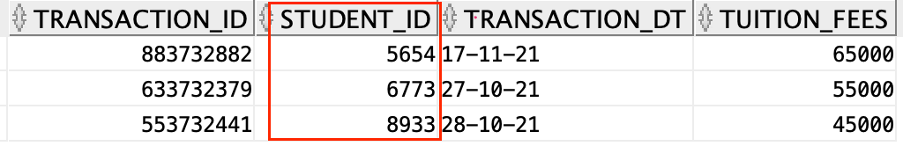 Payment Table in Oracle